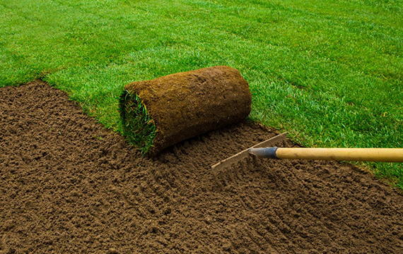 Taj Contractor - Sodding / Grass image.