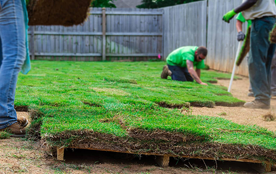 sodding-grass-img
